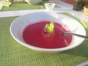 Purple (beetroot) cold soup (Gazpacho) at Past & Future in Fuerteventura