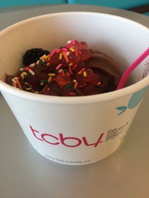 chocolate almond vegan ice cream  at TCBY in Victor