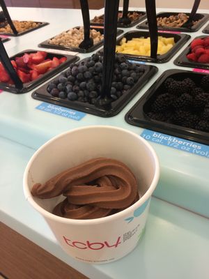 toppings fruit at TCBY in Victor
