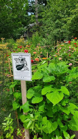 Beverly home for self serve pickup at Pure Pastry in Beverly