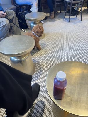   at Pressed Juicery in Boston