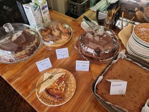 Vegan cakes (except for the brownie all is vegan) at Vero Caffe in Bruges