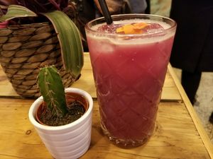 wise at The Organic Boho in Copenhagen