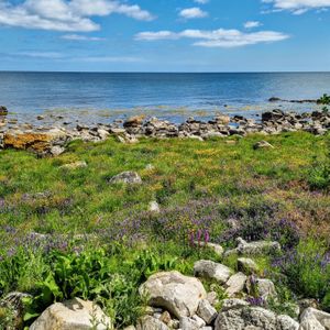  at PAUSA MAT O GELATO in Simrishamn