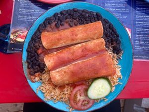 Vegan enchiladas at Ahora Mexican Cuisine in Ottawa