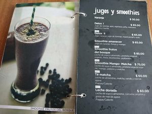 Menu at Nadis Go Vegan in Torreon