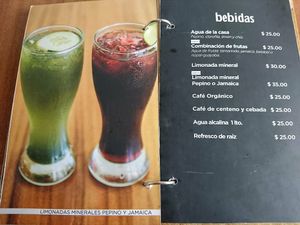 Menu at Nadis Go Vegan in Torreon