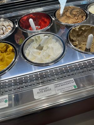  at L'arte del Gelato in Verona