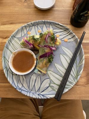 Veggie rolls! at Pezetarian in Cartagena