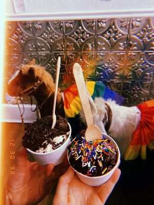 Chocolate sorbet and sprinkles  at Hedonist Artisan Ice Cream in Rochester
