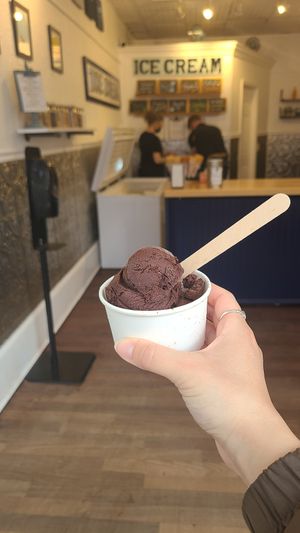 Chocolate at Hedonist Artisan Ice Cream in Rochester