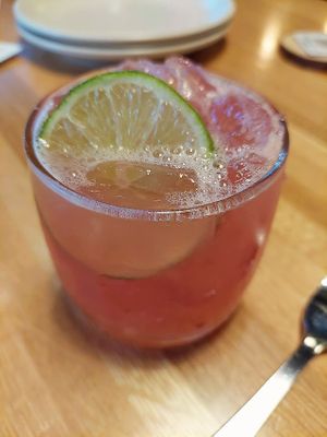 Juniper Rose cocktail; this double is $21, btw at True Food Kitchen in King Of Prussia