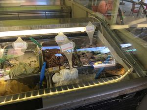 Vegan offerings at Screme Gelato Bar in New York City