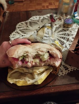 Vegan Chicken Pita at Fari's in Ljubljana