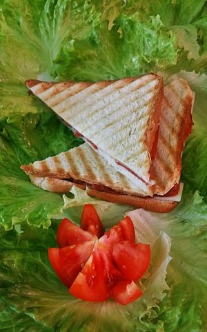 Vegan toast(vegan Ham, cheese, butter)  at Fari's in Ljubljana