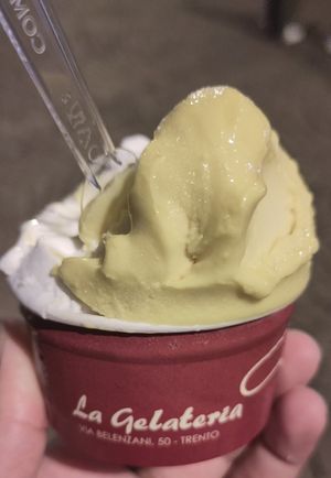 Goûts coco et mangue at La Gelateria in Trento