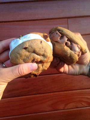 coconut bliss ice cream cookie sandwiches! oil-free and amazing! at Herbivoro in Portland