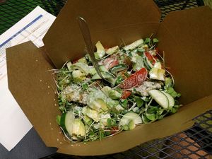 a vegtastic salad at Healthy Harvest Urban Farms & Cafe in Rock Island