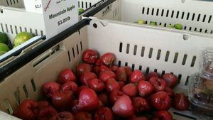 mountain apples at Napili Farmers Market in Lahaina