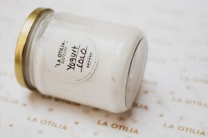 Yogurt de coco

Coconut Yogurt at La Otilia in Mexico City