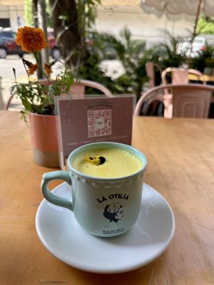   at La Otilia in Mexico City