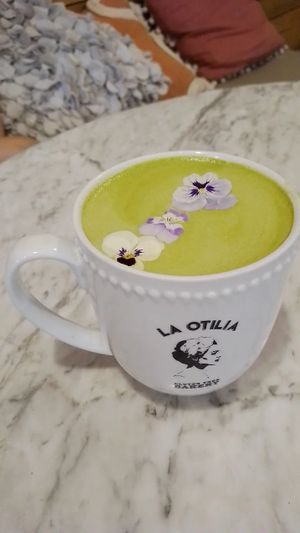 Matcha latte 🍵 at La Otilia in Mexico City