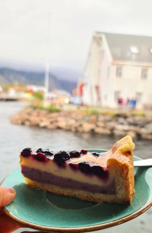 Vegan Blueberry Cheesecake at Klatrekafeen in Henningsvaer