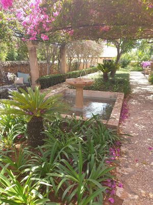 Garden at Cal Reiet's Table in Mallorca