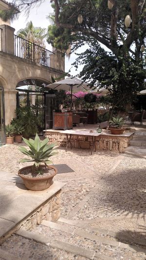 Garden at Cal Reiet's Table in Mallorca
