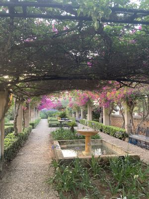   at Cal Reiet's Table in Mallorca