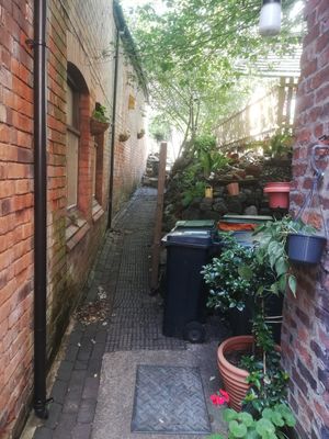 Garden path at Fat Rabbit in Oswestry