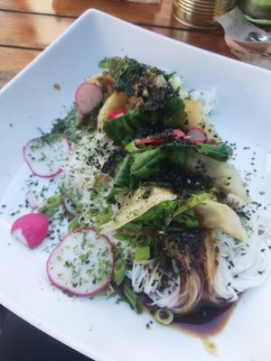 Gyoza at Fat Rabbit in Oswestry