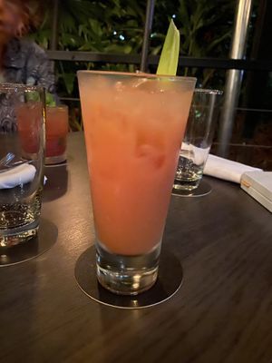   at Watergate in Port Douglas