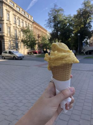   at Božský Kopeček - Moravské Náměstí in Brno