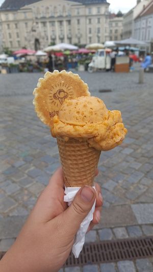 1 scoop apricot ice cream 60czk ≈ 2,40€ at Božský Kopeček - Moravské Náměstí in Brno
