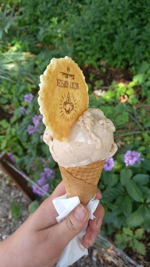 1 scoop hazelnut 60czk ≈ 2,40€ at Božský Kopeček - Moravské Náměstí in Brno