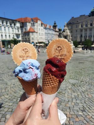 'Sky' and black currant at Božský Kopeček - Moravské Náměstí in Brno
