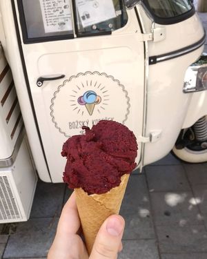 Blueberry at Božský Kopeček - Moravské Náměstí in Brno