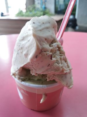 Fig + Lemon mint vegan ice creams at Leggenda - HaNassi in Haifa