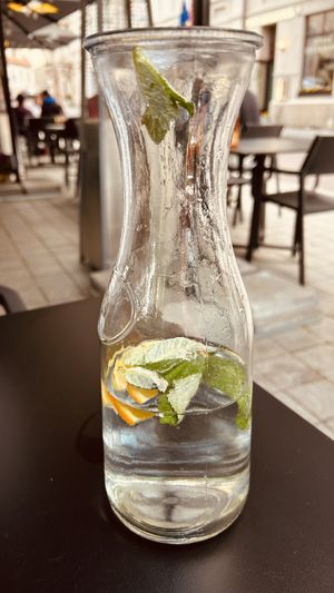   at Sue's Indian Raja in Vilnius