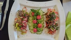 houmous vert et rouge avec crudités et graines germées at Annadata in Saint-malo
