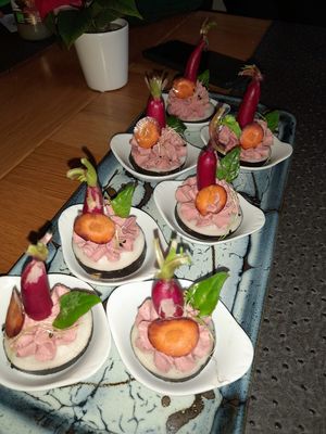 Beetroot houmous and raddish at Annadata in Saint-malo