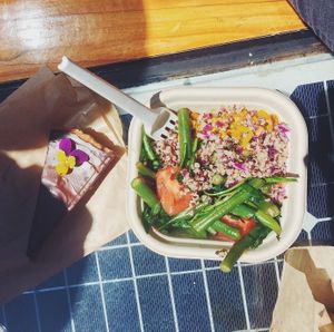 Amazing raw cheesecake + medium salad at Sustain Vegetarian Takeaways in Rotorua