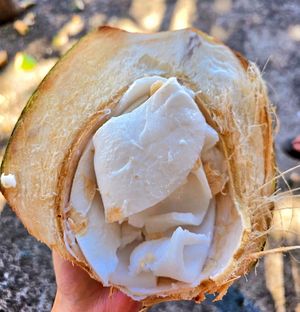 Coconut meat at Coconut Caboose in Paia