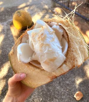Coconut meat at Coconut Caboose in Paia
