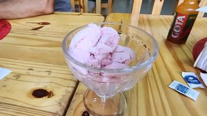 vegan strawberry ice cream. yay for vegan ice cream at Edi Sabor Natural in Manaus