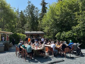 The seating area at Tacofino - Food Truck in Tofino
