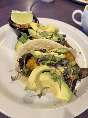 Vegan tofu tacos   at The Nova Cafe in Bozeman