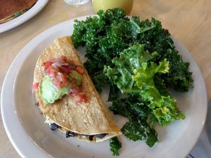 Brunch Quesadilla at From Seed to Sprout in Fair Haven