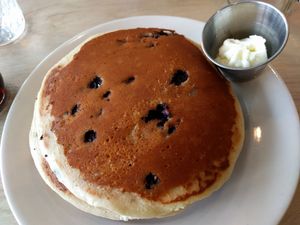 Blueberry Spelt Pancakes at From Seed to Sprout in Fair Haven